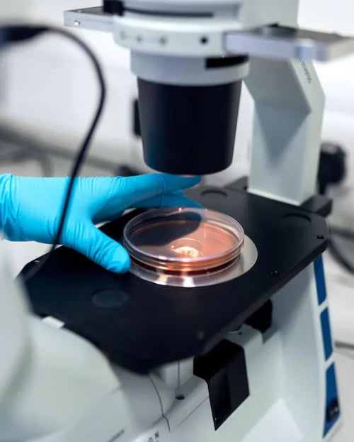 Science-backed sleep research